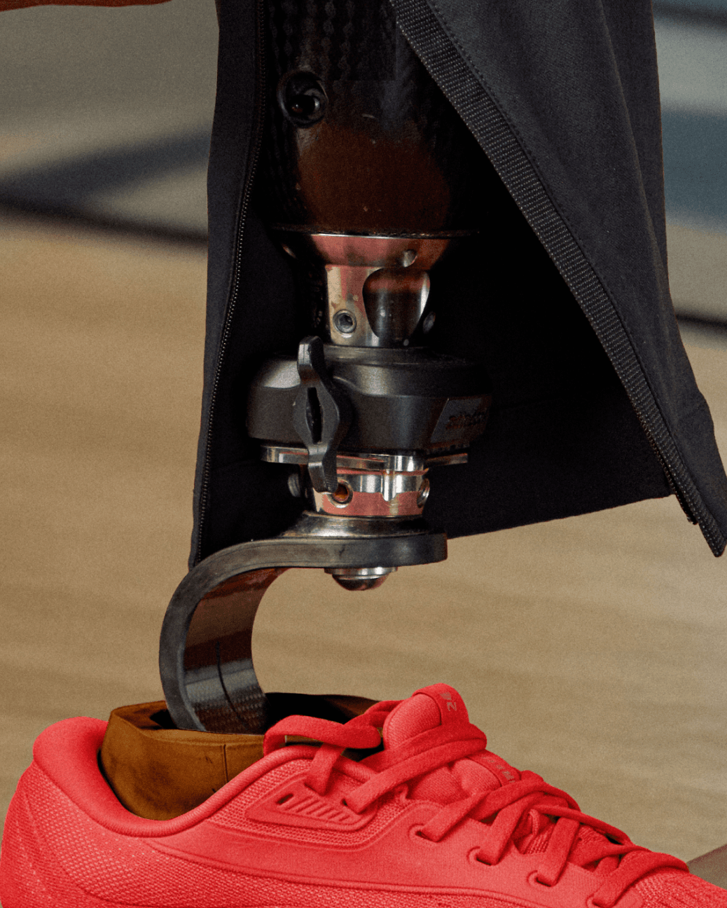 Aurushi content asset